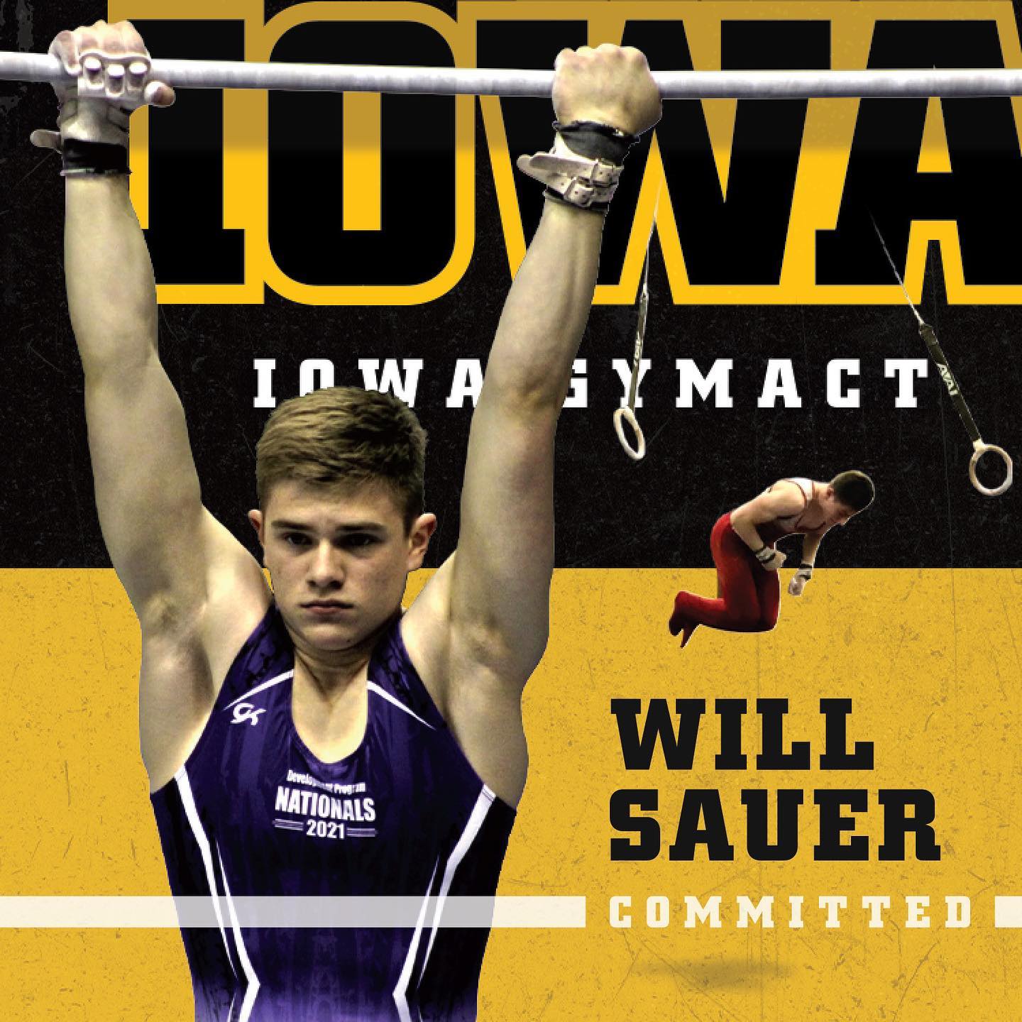 Will Sauer