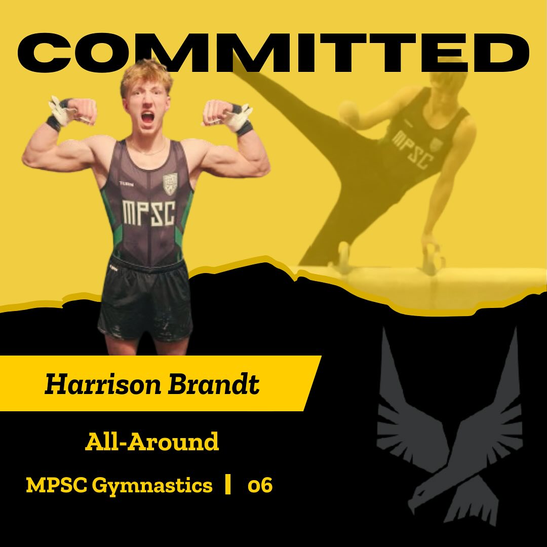 Harrison Brandt