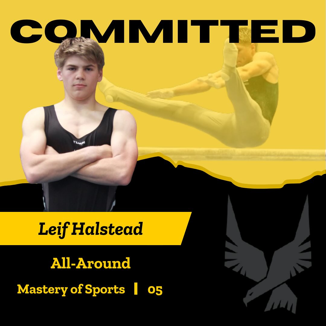 Leif Halstead